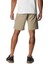 AM5763 Silver Ridge Utility Cargo Short Erkek Şort 3