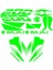 Bajaj Pulsar NS200 Uyumlu Yeşil Sticker Set 1