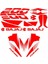 Bajaj Pulsar NS200 Uyumlu Kırmızı Sticker Set 1