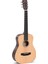 Tm-12 Travel Akustik Gitar (Natural) 1