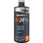 Bigjoy Sports Predator 1000 Ml Portakal