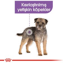 Royal Canin Mini Sterilised Kısırlaştırılmış Yetişkin Köpek Maması 3 kg