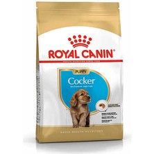 Royal Canin Cocker Junior Yavru Köpek Maması 3 kg