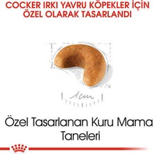 Royal Canin Cocker Junior Yavru Köpek Maması 3 kg