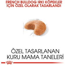 Royal Canin French Bulldog Adult Yetişkin Köpek Maması 3 kg