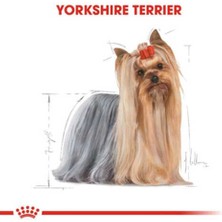 Royal Canin Yorkshire Terrier Adult Yetişkin Köpek Maması 1,5 kg