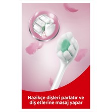 Colgate Foamsoft Diş Eti Masajı Yumuşak Diş Fırçası x 2 Adet