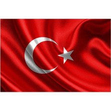 Vatan Bayrak 80X120 cm Bayrak