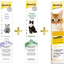 Gimcat grimcat Anti-Stress Paste 50gr + grastro Intestinal Multi-Vitamin Duo Paste Peynirli 50gr Destekleyici 50gr