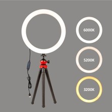 Hlypro Vlogger Kit Ring Light