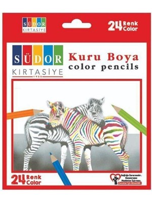 Südor 24 Renk Kuru Boya Kalemi Çocuklar İçin Güvenli ve Silinebilir Renkli Kalemler