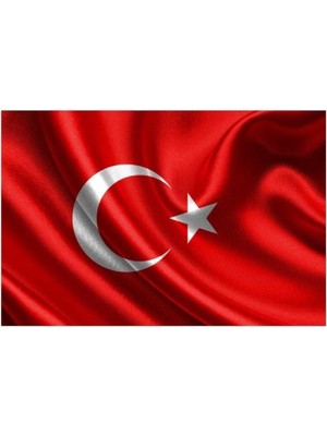 Vatan Bayrak 80X120 cm Bayrak