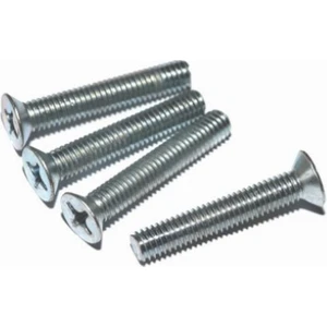 Metrik Yhb Vidası Kutulu 4X25MM 1000 Adet