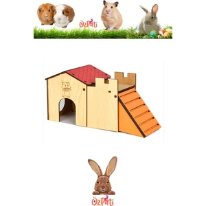 Hamster Evi Tek Katlı