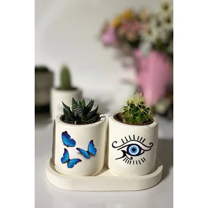 Dekozayn Home Tabaklı Nazarlık Kelebek Baskılı Mini Saksı Seti Hediyelik Dekoratif (Çiçeksiz)