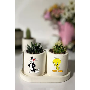 Dekozayn Home Tabaklı Tweety Baskılı Mini Saksı Seti Hediyelik Dekoratif (Çiçeksiz)