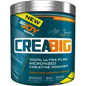 Bigjoy Sports Bigjoy Sport Bigjoy Creatin Powder Creabig 300 Gram Aromasız