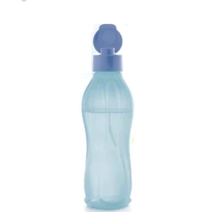 Eko Şişe 750 ml