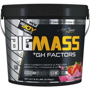 Bigjoy Sports Bigjoy Bigmass Gainer Gh Factors 3 Kg Strawberry