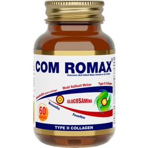 Romax Glucosamine Chondroitin Msm 60 Tablet