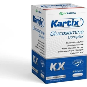 Glucosamine Complex 90 Tablet