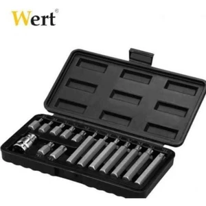 Wert 2243 Torx Bits Uç Seti. 15 Parça W