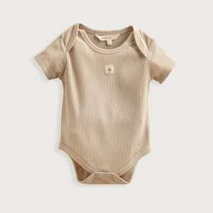 Little Swan Body Vizon