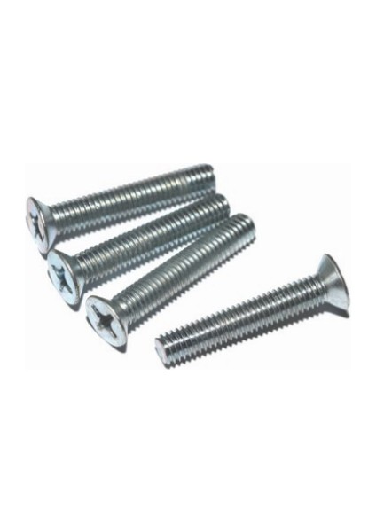 Metrik Yhb Vidası Kutulu 6X10MM 1250 Adet