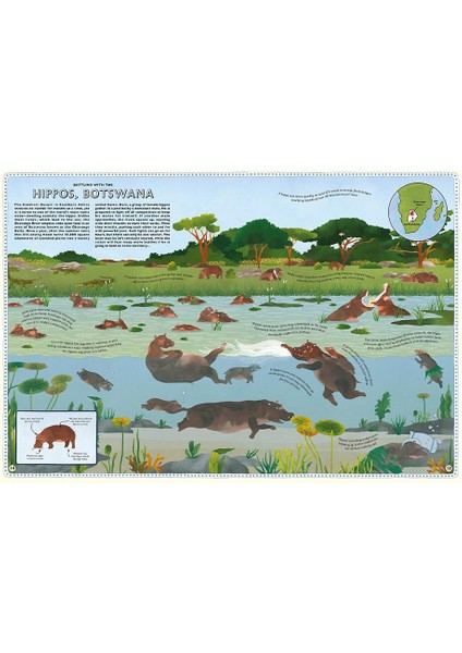 Atlas Of Animal Adventures