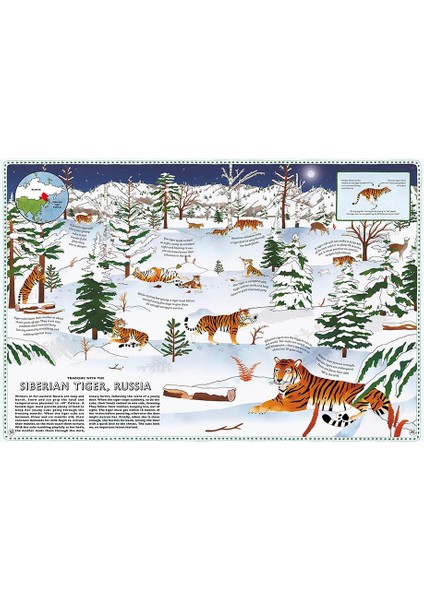 Atlas Of Animal Adventures