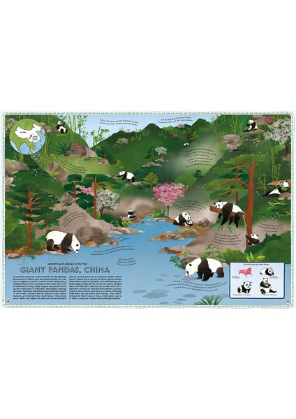 Atlas Of Animal Adventures
