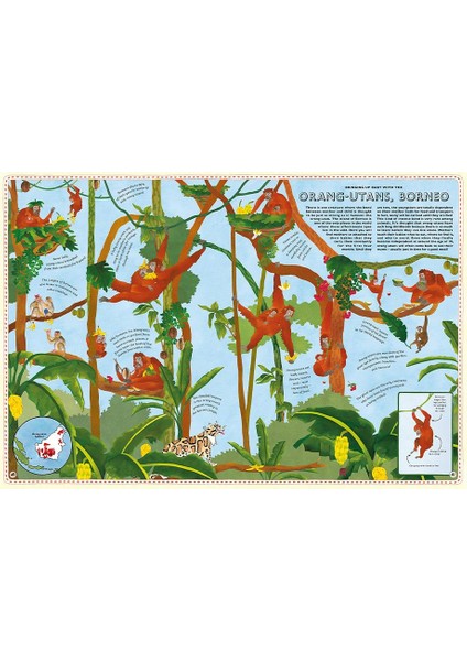 Atlas Of Animal Adventures