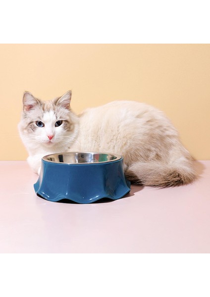 Kedi Kaseleri Yemek Anti Slip Hafif Temizleme Kedi Mavisi Için Kedi Su Kasesi (Yurt Dışından) indirimleri
