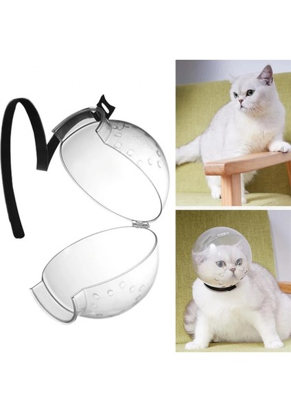 Kedi Bakım ve Koruma Küresi