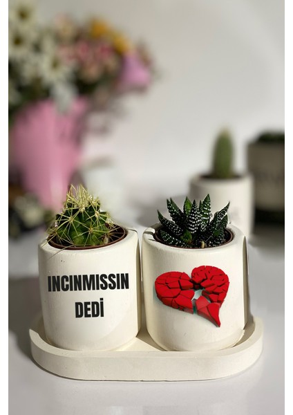 Tabaklı Incinmişsin Dedi Baskılı Mini Saksı Seti Hediyelik Dekoratif (Çiçeksiz)
