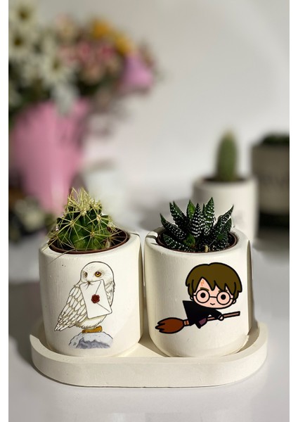 Tabaklı Harry Baskılı Mini Saksı Seti Hediyelik Dekoratif (Çiçeksiz)