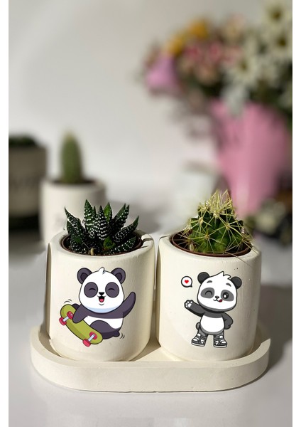 Tabaklı Panda Baskılı Mini Saksı Seti Hediyelik Dekoratif (Çiçeksiz)