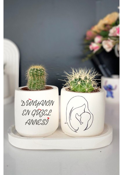 Tabaklı Anne Teması 1 Çizimli Mini Saksı Seti Hediyelik Dekoratif (Çiçeksiz) Anneler Günü Hediyesi fiyatları