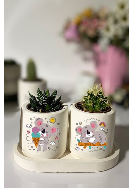 Tabaklı Koala Baskılı Mini Saksı Seti Hediyelik Dekoratif (Çiçeksiz)