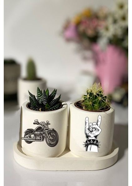 Tabaklı Motorcu Baskılı Mini Saksı Seti Hediyelik Dekoratif (Çiçeksiz)