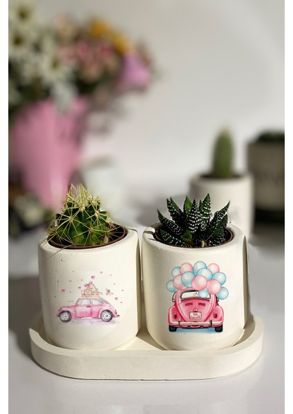 Tabaklı Vosvos Baskılı Mini Saksı Seti Hediyelik Dekoratif (Çiçeksiz)