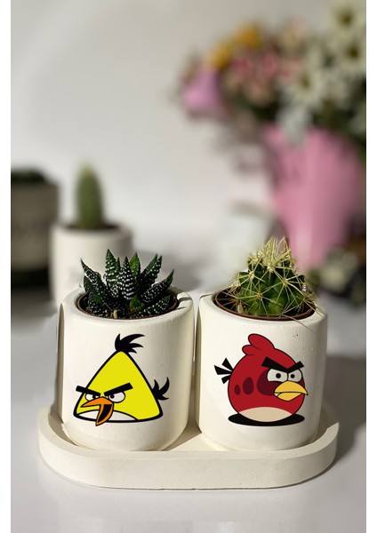 Tabaklı Angry Birds Desenli Mini Saksı Seti Hediyelik Dekoratif (Çiçeksiz)