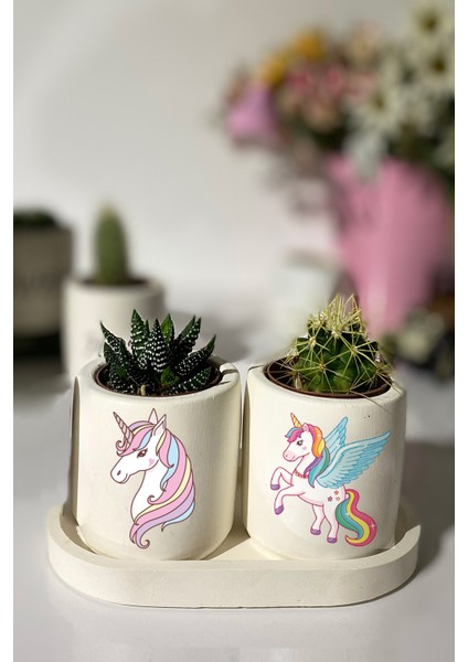 Tabaklı Unicorn Baskılı Mini Saksı Seti Hediyelik Dekoratif (Çiçeksiz)