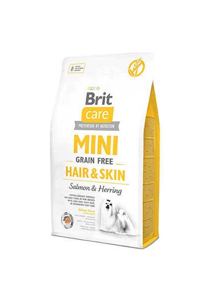 Mini Hair Skin Somonlu Tahılsız Küçük Irk Köpek Maması 2 kg