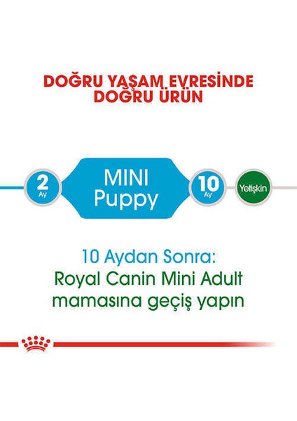 Mini Puppy Küçük Irk Yavru Köpek Maması 2 kg