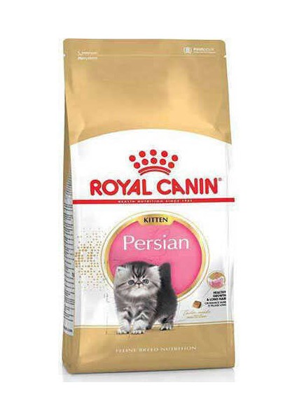 Persian Kitten Yavru Iran Kedisi Maması 2 kg