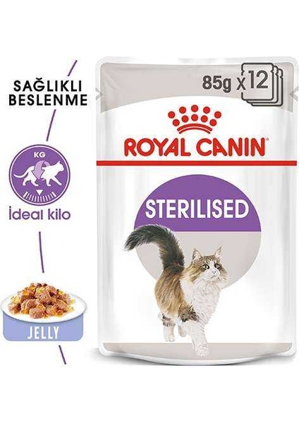 Sterilised Jelly Pouch Kedi Maması 85GR fiyatları