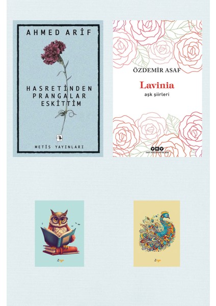 Hasretinden Prangalar Eskittim - Lavinia + Defter