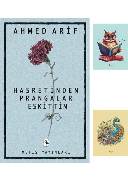 Hasretinden Prangalar Eskittim - Ahmed Arif + Not Defteri