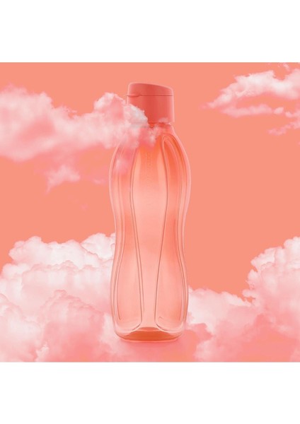 Eco+ Şişe Suluk Kolay Kapak 1l Karpuz Pembe modelleri